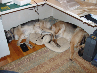 underfoot.jpg